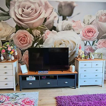 Sweet Garden Residence براشوف المظهر الخارجي الصورة
