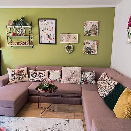 Sweet Garden Residence براشوف المظهر الخارجي الصورة