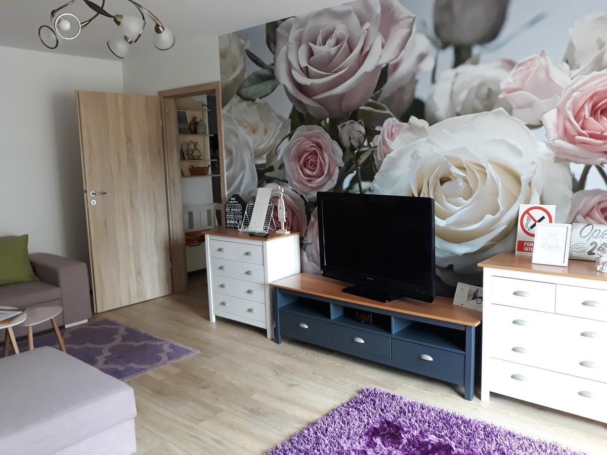 Sweet Garden Residence براشوف المظهر الخارجي الصورة