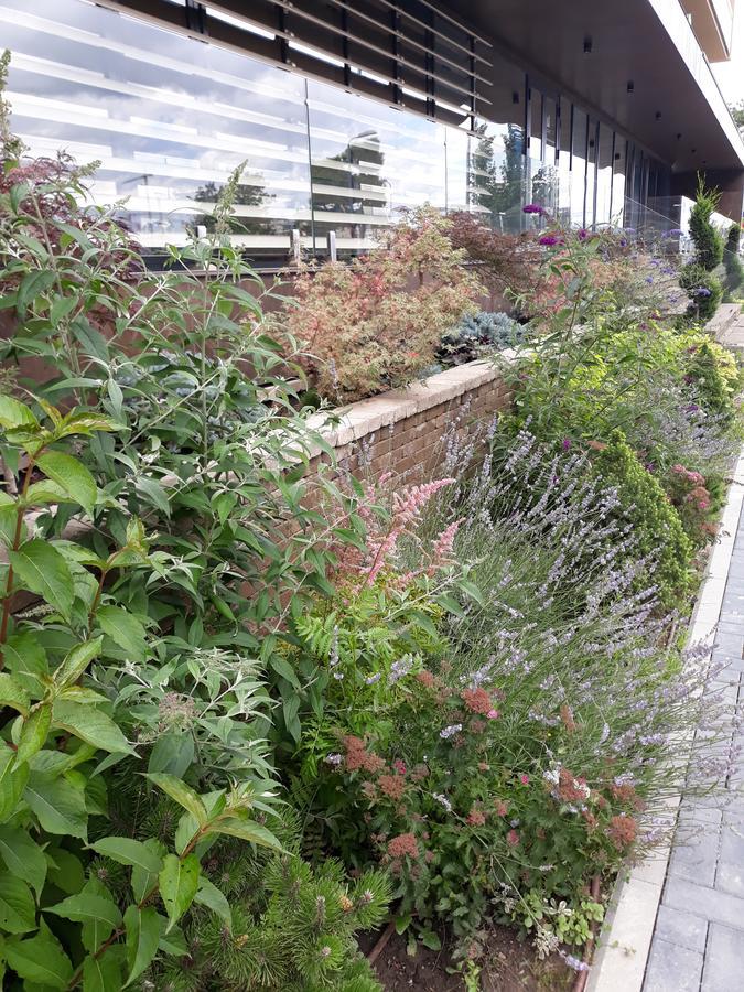 Sweet Garden Residence براشوف المظهر الخارجي الصورة